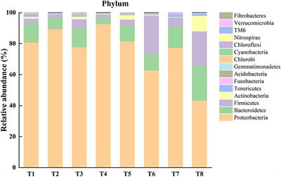 Effects of Ocean Acidification, Hypoxia, and Warming on the Gut Microbiota of the Thick Shell Mussel Mytilus coruscus Through 16S rRNA Gene Sequencing